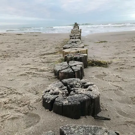 Segeltörn Ostseeheilbad Zingst